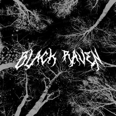 Black Raven
