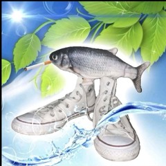 1 hour of rain, waves & water drops to sleep to