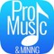 Pro Music