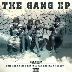 NMEP The Gang