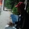 Poze Perigoso