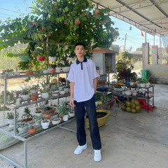 Trần Minh Phi