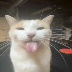 Silly
