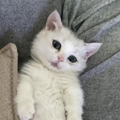 김무훈