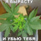 Резник Артем