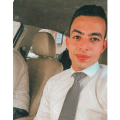 Mohab Hosam