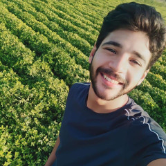 Mahmoud Owieda