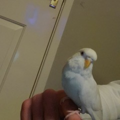G.G.K.