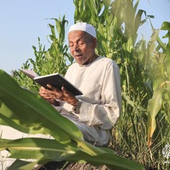 ABDELRAHMAN