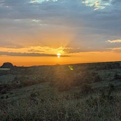 221188💚🌄