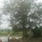 Thuan Le