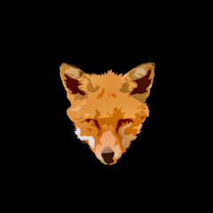 Fox - فــوكــس