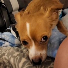 Andy&Chewie
