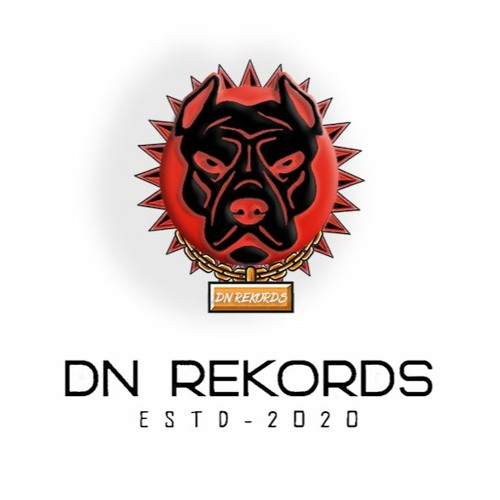 DN REKORDS’s avatar