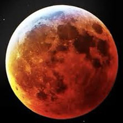 𝘾𝙝𝙧𝙞𝙨𝙩𝙤𝙥𝙝𝙚𝙧 𝙭𝙖𝙗𝙖🦋