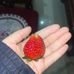 jkuleii