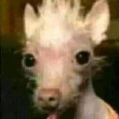 igvnacio
