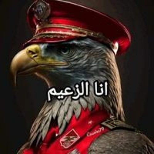 عبده الزعيم’s avatar