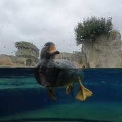 Romina Katharina Österreicher