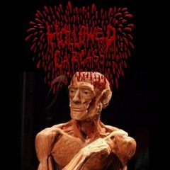 Hollowed Carcass/SCUM TERMINATION