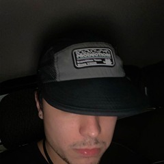Brisola
