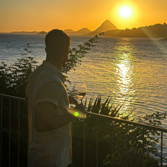 Diego Dalvi