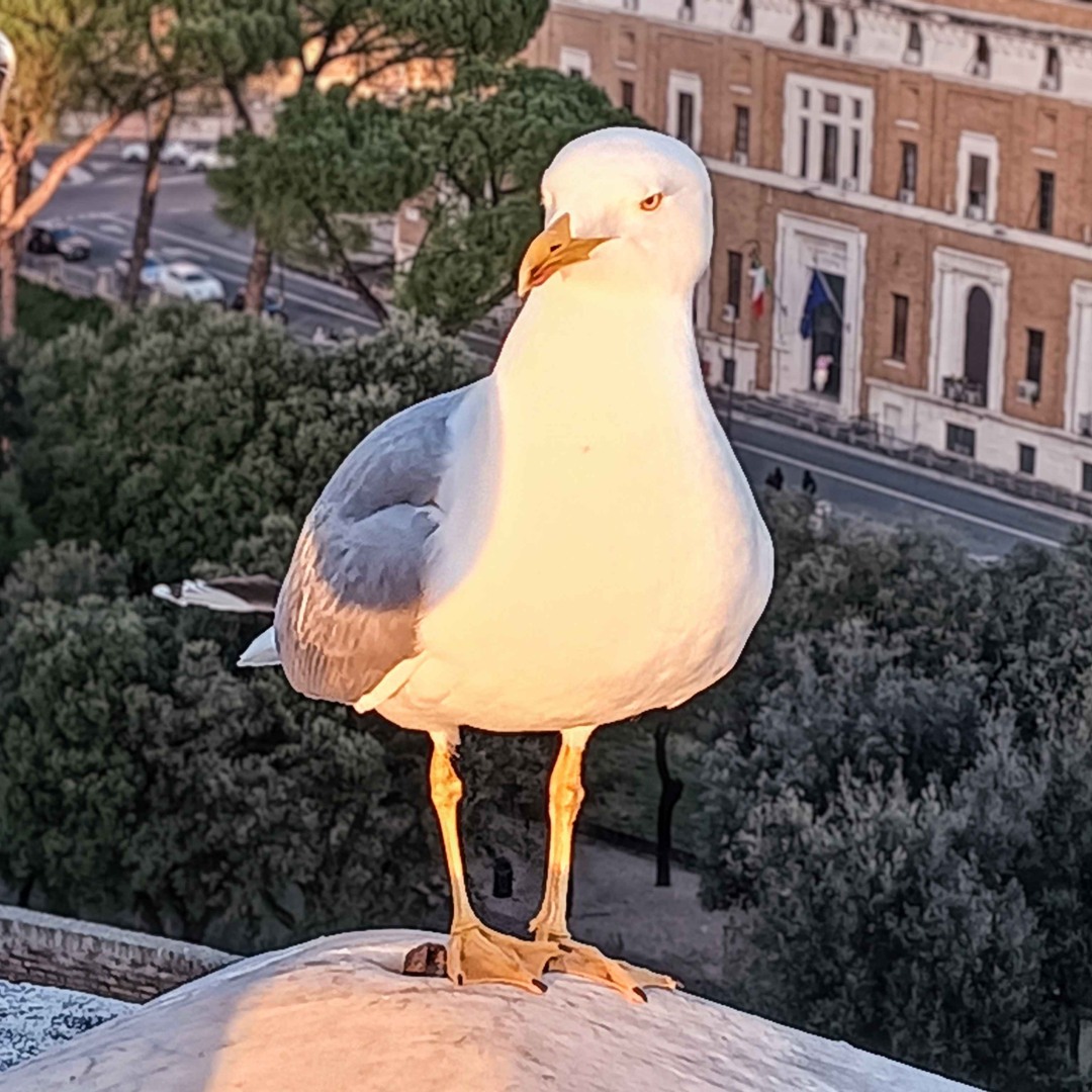 Stream Zx music | Listen to songs, albums, playlists for free on