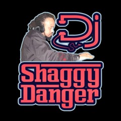 DJ Shaggy Danger