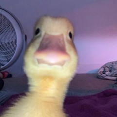 Coralie