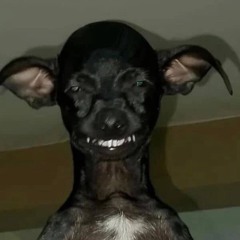 𝕵𝖚𝖓𝖎𝖔𝖗