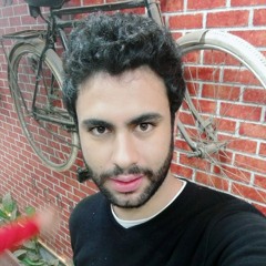 Mohamed abdelmaksoud