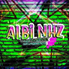 Albi NHZ