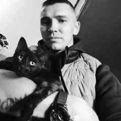 Котик Вандам