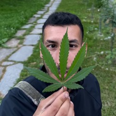 RONASH-BANANA MANIA 28/6/25