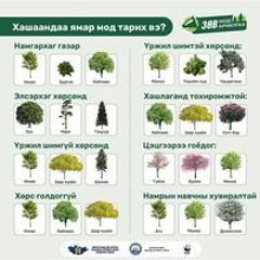 Tserendondog Osorjamaa