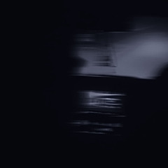 T4yy1b4h