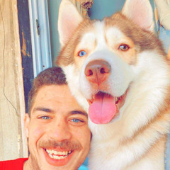 Abdelrahman M. Saleh