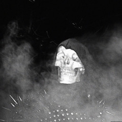 sas