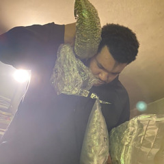 448 SCARZ
