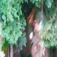 7ev4n