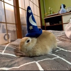 Luis Ángel Vázquez Barba