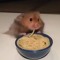 raT