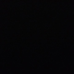 بوداوود