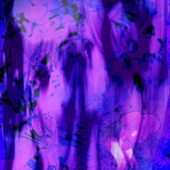 what if i bring you the moon the pieces