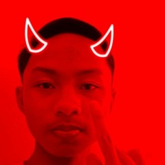 aris wibowo
