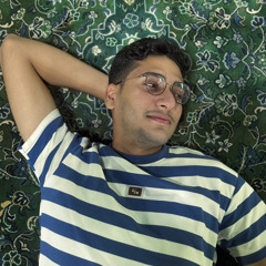 Ahmed Elsalamony