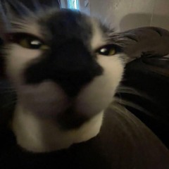 Stanley