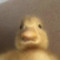 gbros 0_0