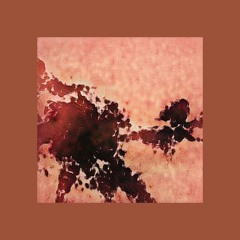 Dignuspublica-nicklaccien