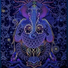 dani psy🕉️👽🇲🇽